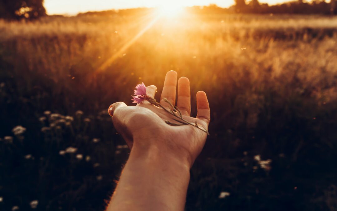 Lift your face to the sun
