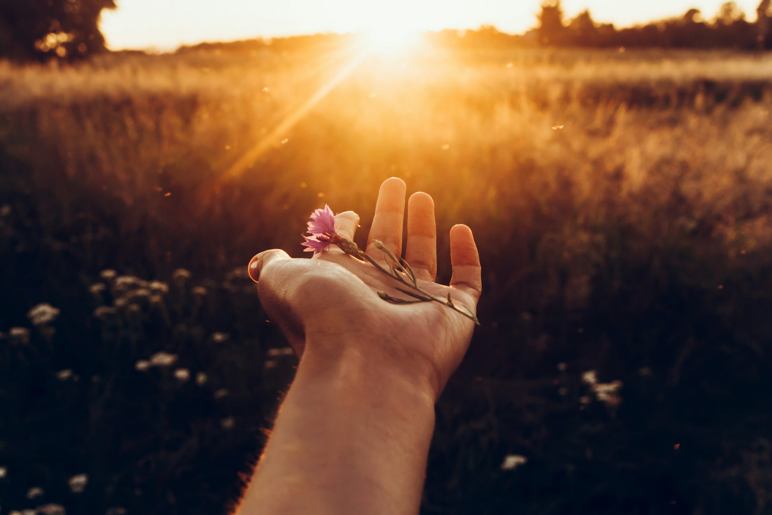 getty-images-Uz6SonFgDMs-unsplash